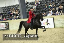 24BUCK_04660 thumbnail