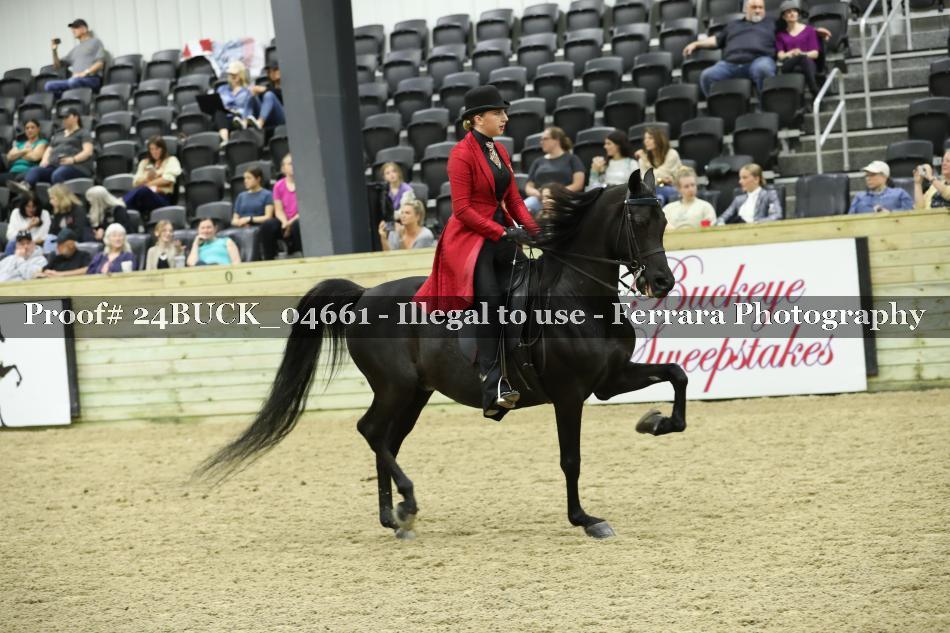Proof Number 24BUCK_04661