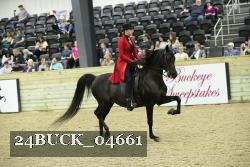 24BUCK_04661 thumbnail