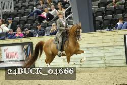24BUCK_04666 thumbnail