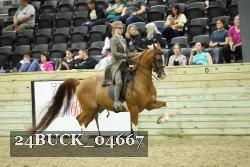 24BUCK_04667 thumbnail