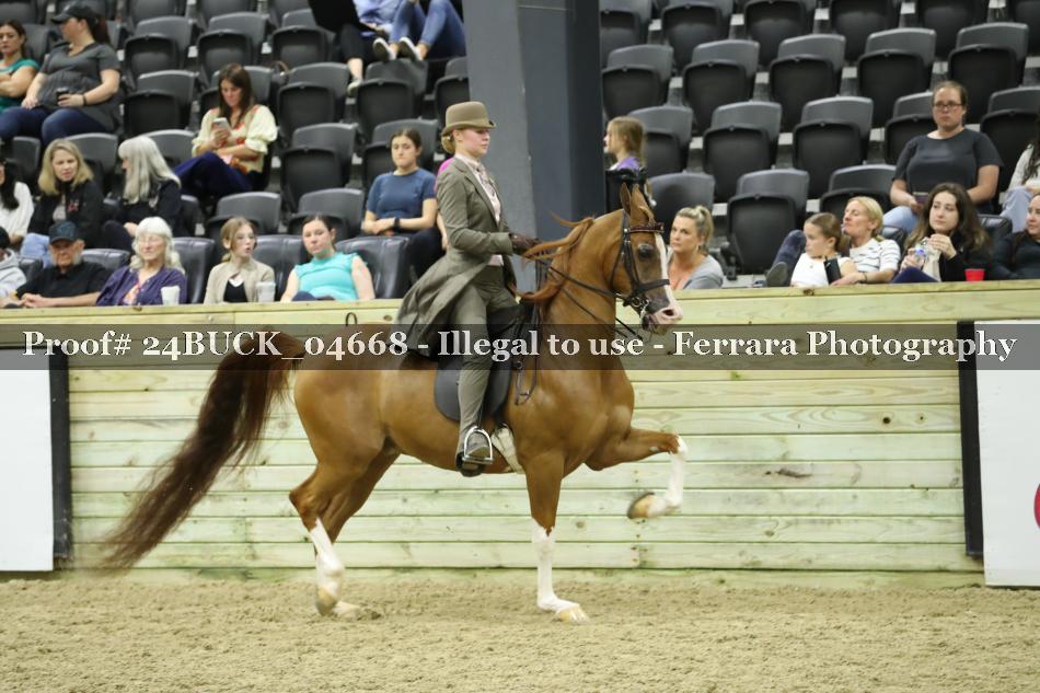 Proof Number 24BUCK_04668