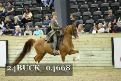 24BUCK_04668 thumbnail