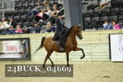 24BUCK_04669 thumbnail
