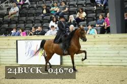 24BUCK_04670 thumbnail