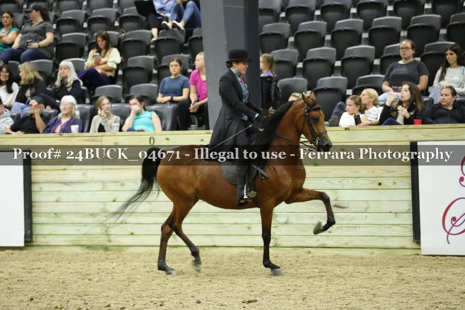 Proof Number 24BUCK_04671