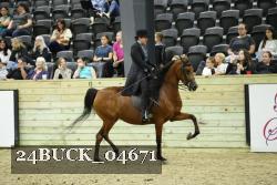 24BUCK_04671 thumbnail