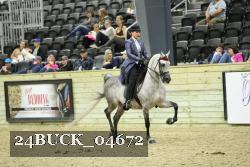 24BUCK_04672 thumbnail