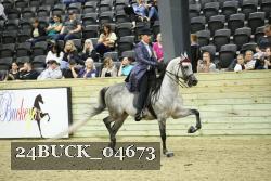 24BUCK_04673 thumbnail