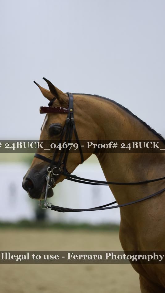 Proof Number 24BUCK_04679