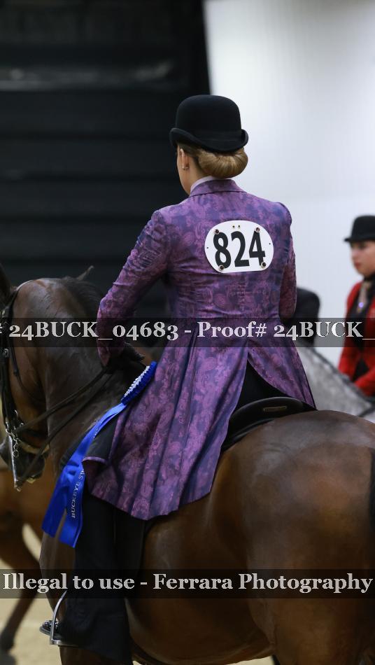 Proof Number 24BUCK_04683