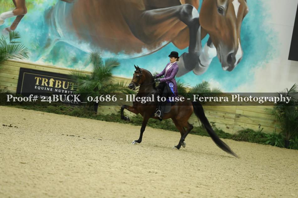 Proof Number 24BUCK_04686
