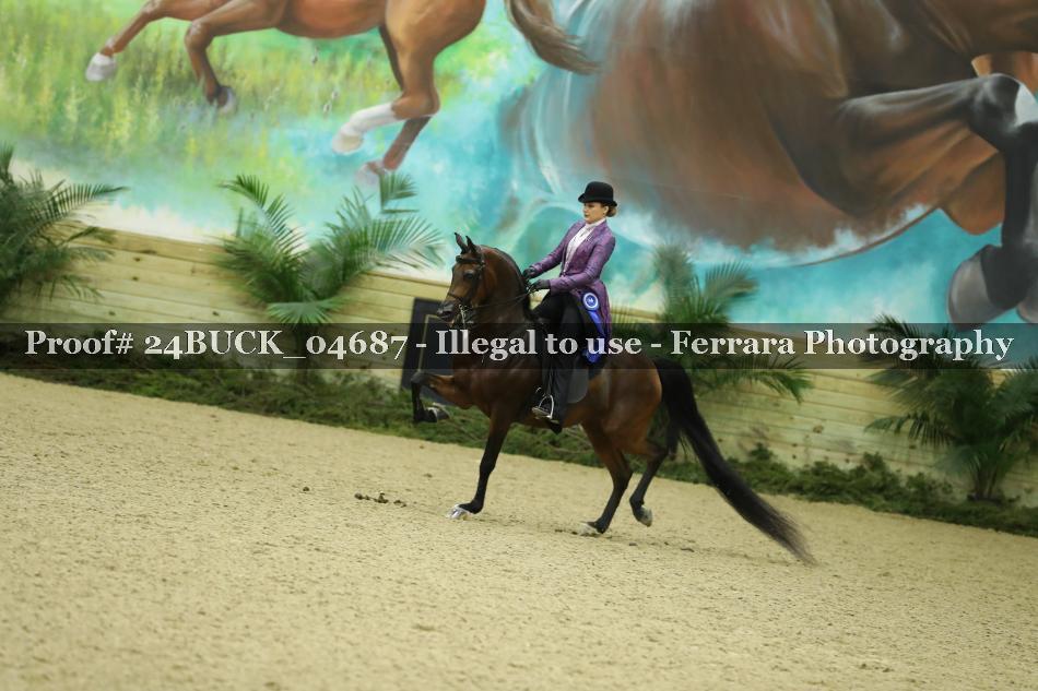 Proof Number 24BUCK_04687