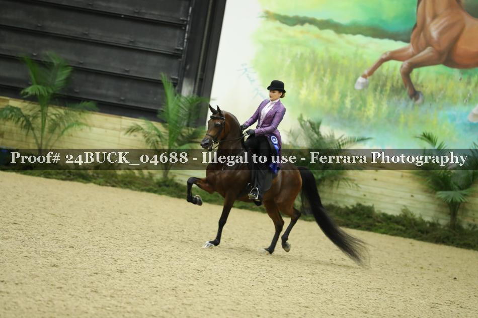 Proof Number 24BUCK_04688