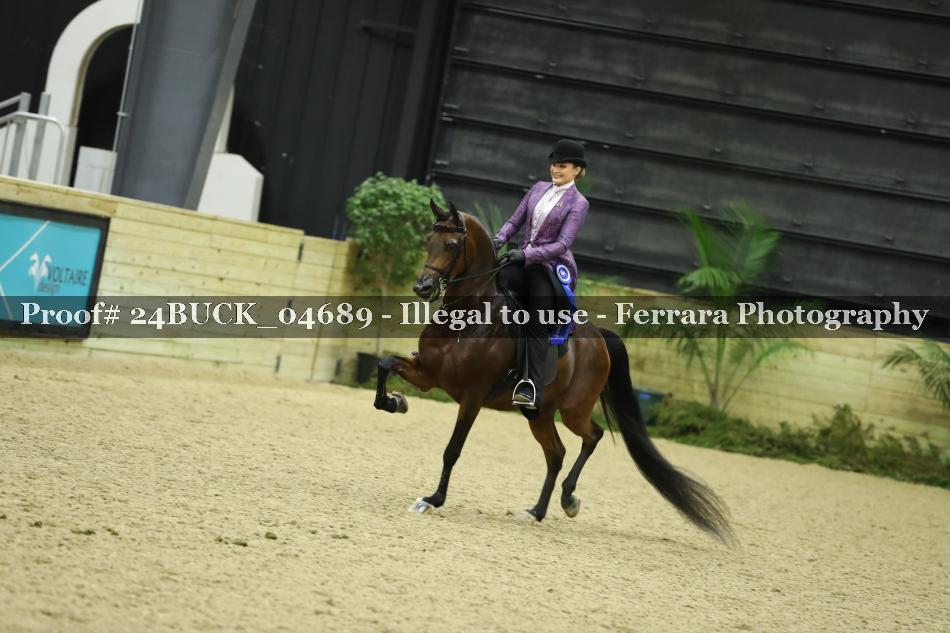Proof Number 24BUCK_04689