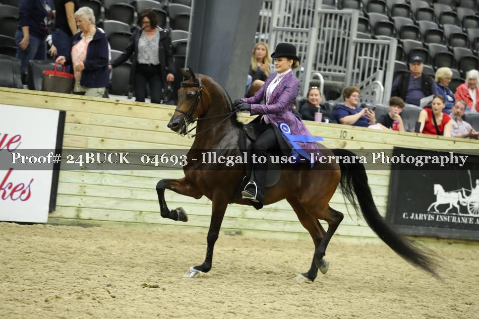 Proof Number 24BUCK_04693
