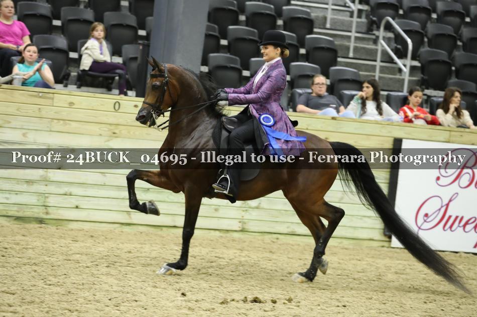 Proof Number 24BUCK_04695