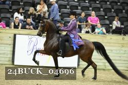 24BUCK_04696 thumbnail