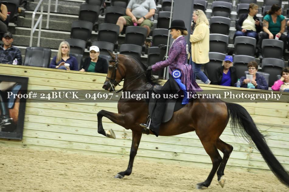 Proof Number 24BUCK_04697