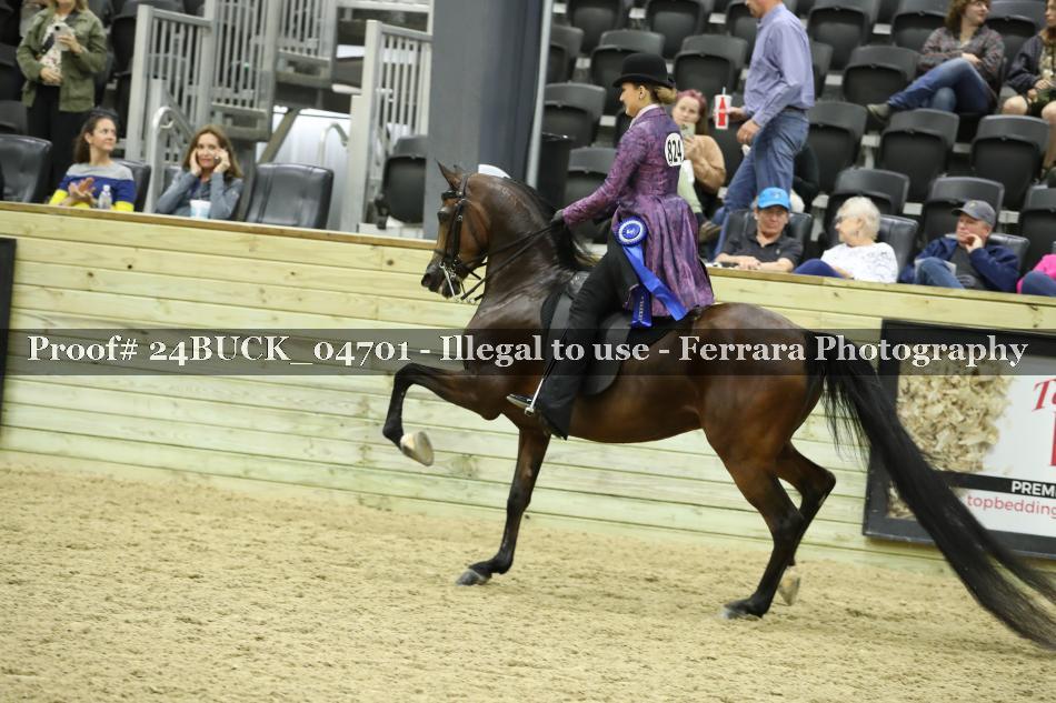 Proof Number 24BUCK_04701