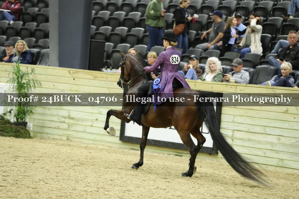 Proof Number 24BUCK_04706