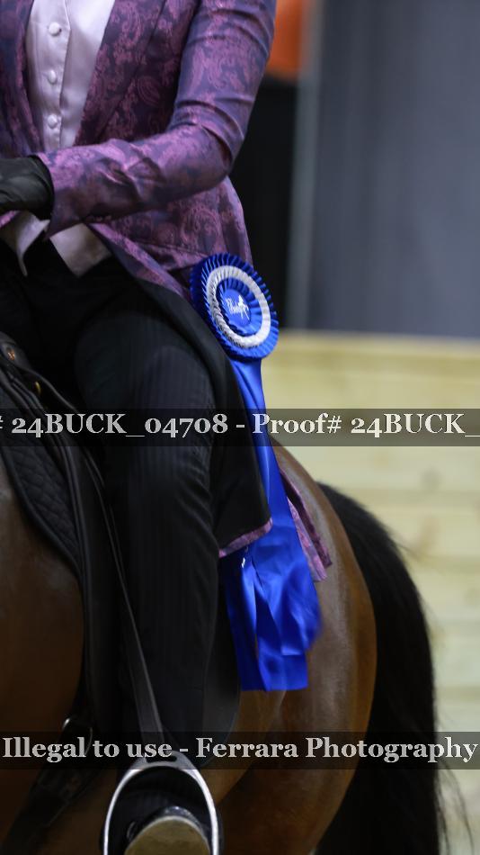 Proof Number 24BUCK_04708