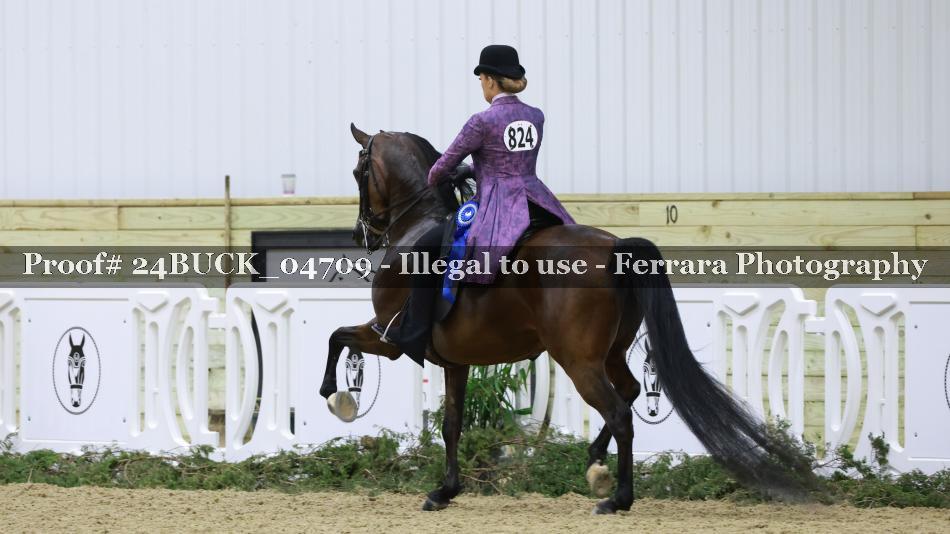 Proof Number 24BUCK_04709
