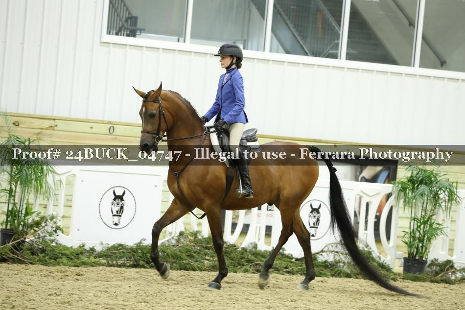 Proof Number 24BUCK_04747