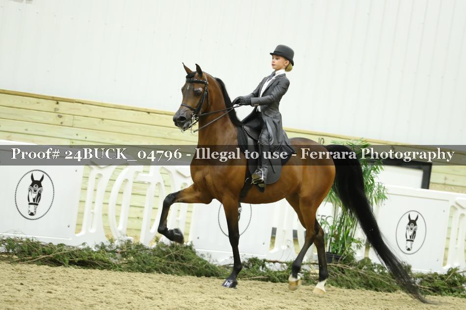 Proof Number 24BUCK_04796