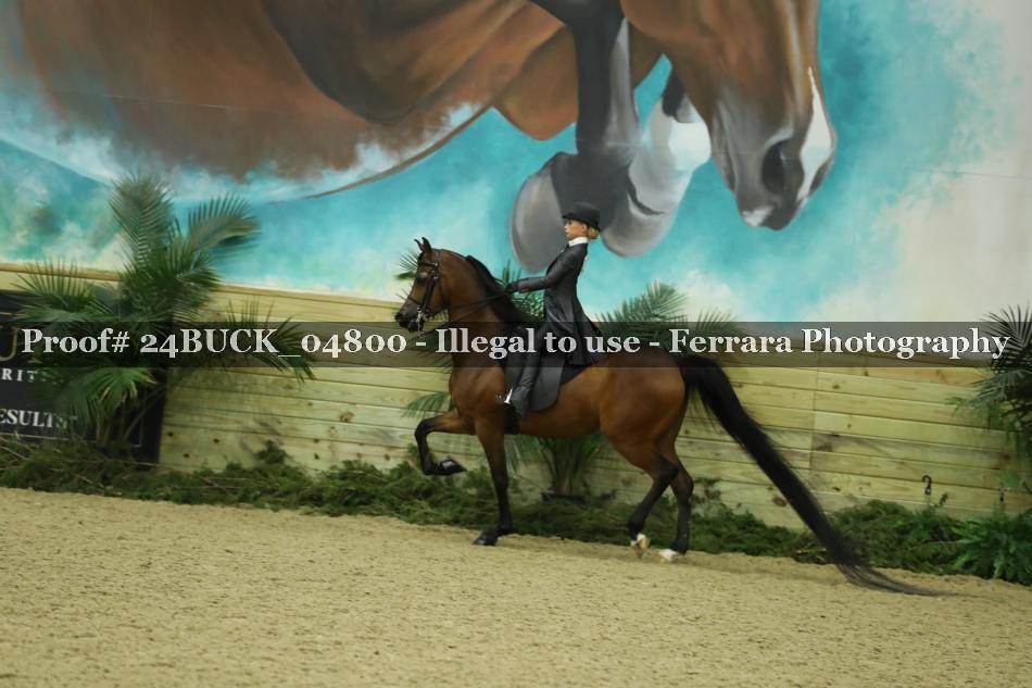 Proof Number 24BUCK_04800