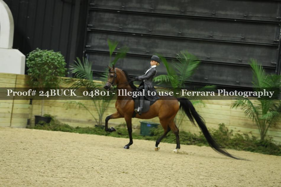 Proof Number 24BUCK_04801
