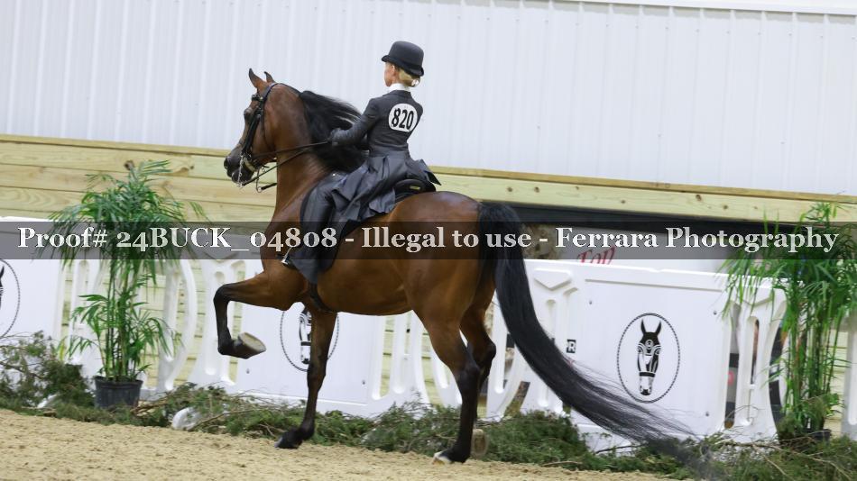 Proof Number 24BUCK_04808