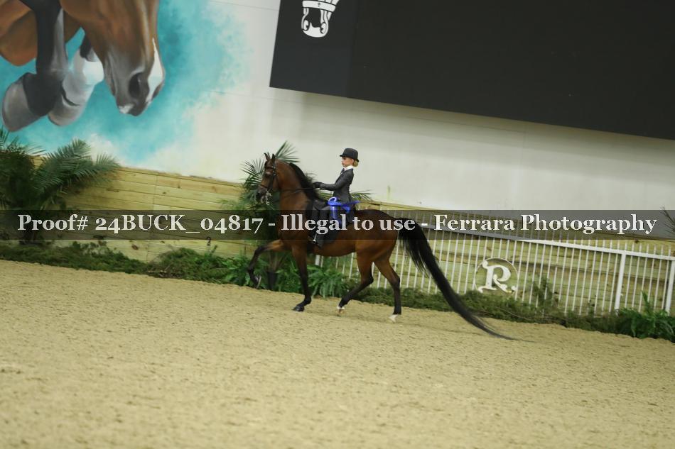 Proof Number 24BUCK_04817
