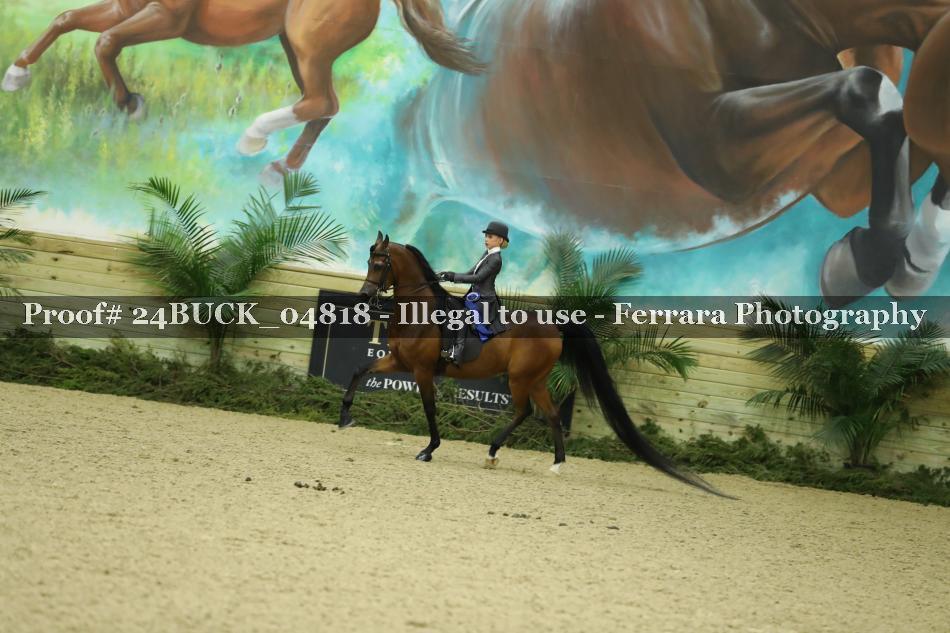 Proof Number 24BUCK_04818
