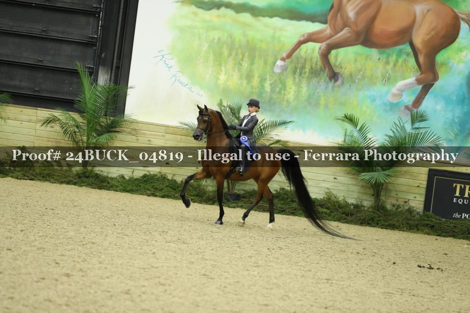 Proof Number 24BUCK_04819