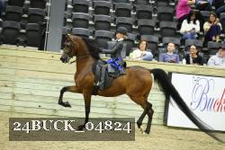 24BUCK_04824 thumbnail