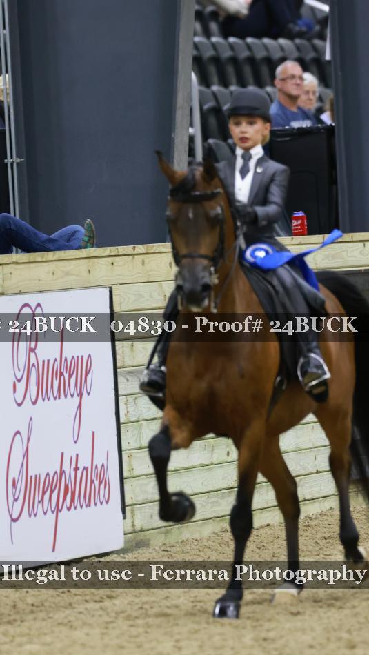 Proof Number 24BUCK_04830
