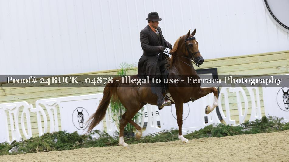 Proof Number 24BUCK_04878