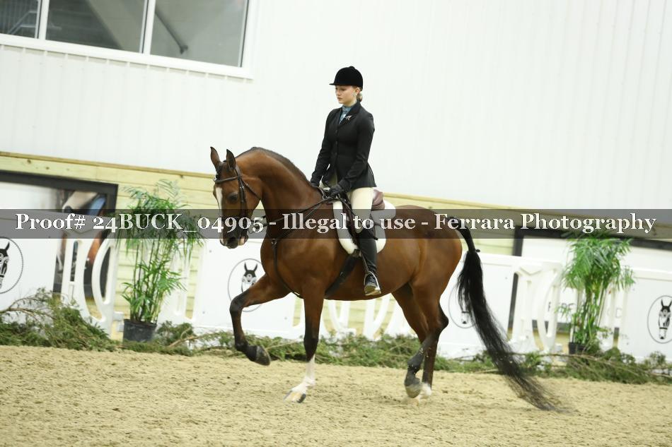 Proof Number 24BUCK_04905