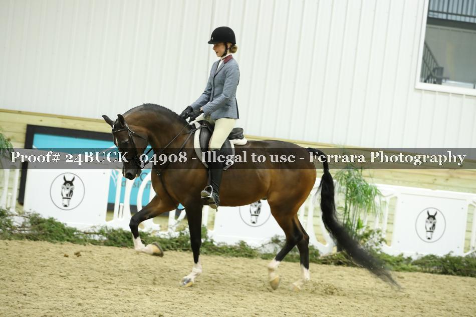 Proof Number 24BUCK_04908