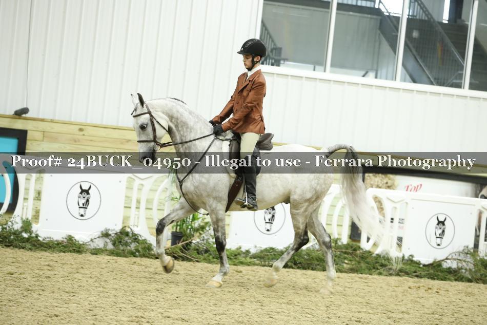 Proof Number 24BUCK_04950