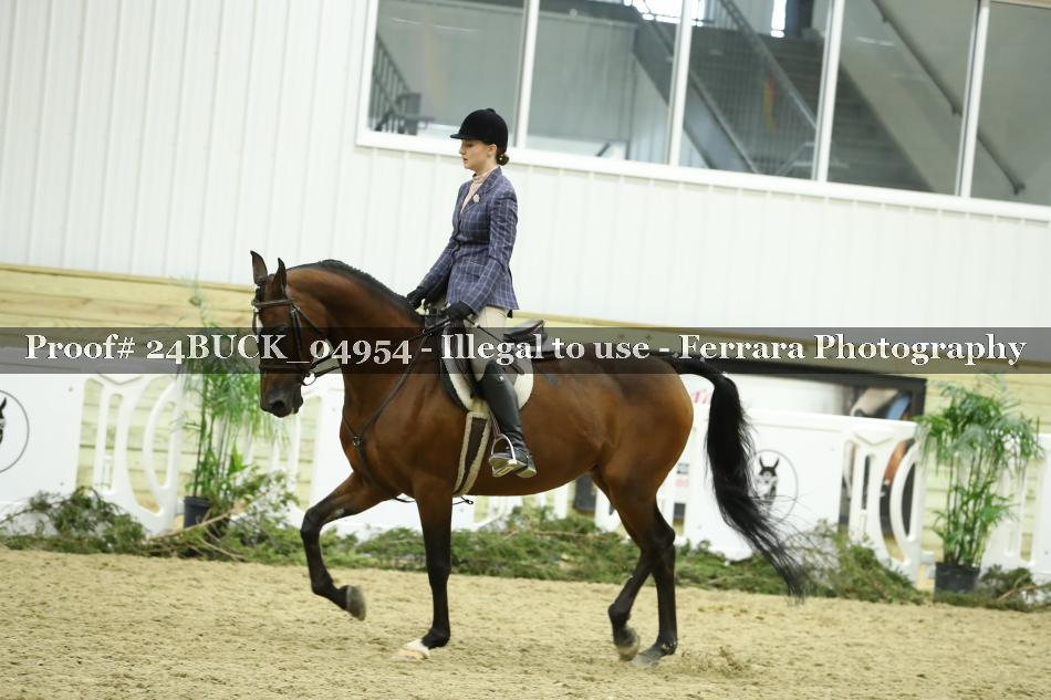Proof Number 24BUCK_04954
