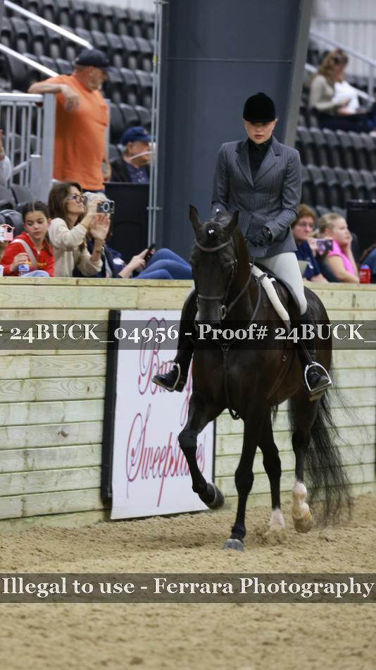 Proof Number 24BUCK_04956