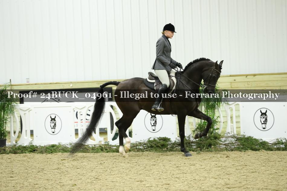 Proof Number 24BUCK_04961