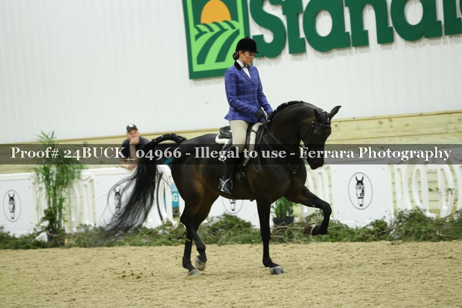 Proof Number 24BUCK_04966