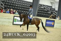 24BUCK_04993 thumbnail