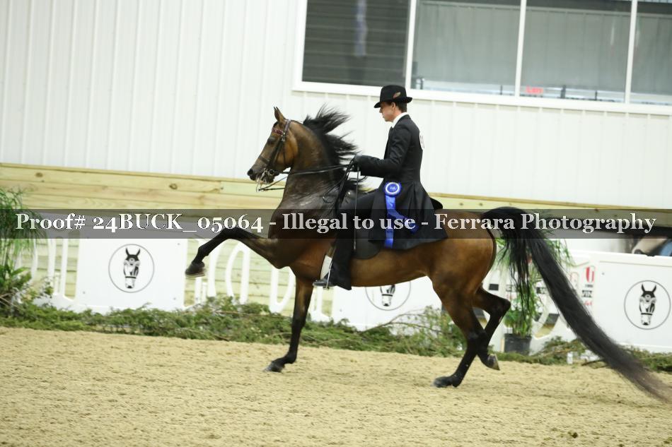Proof Number 24BUCK_05064