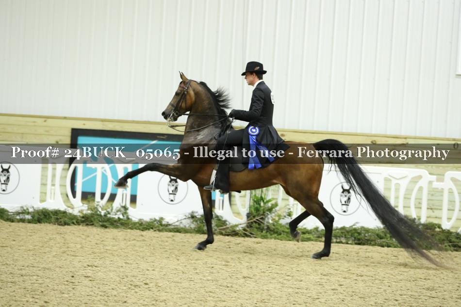 Proof Number 24BUCK_05065