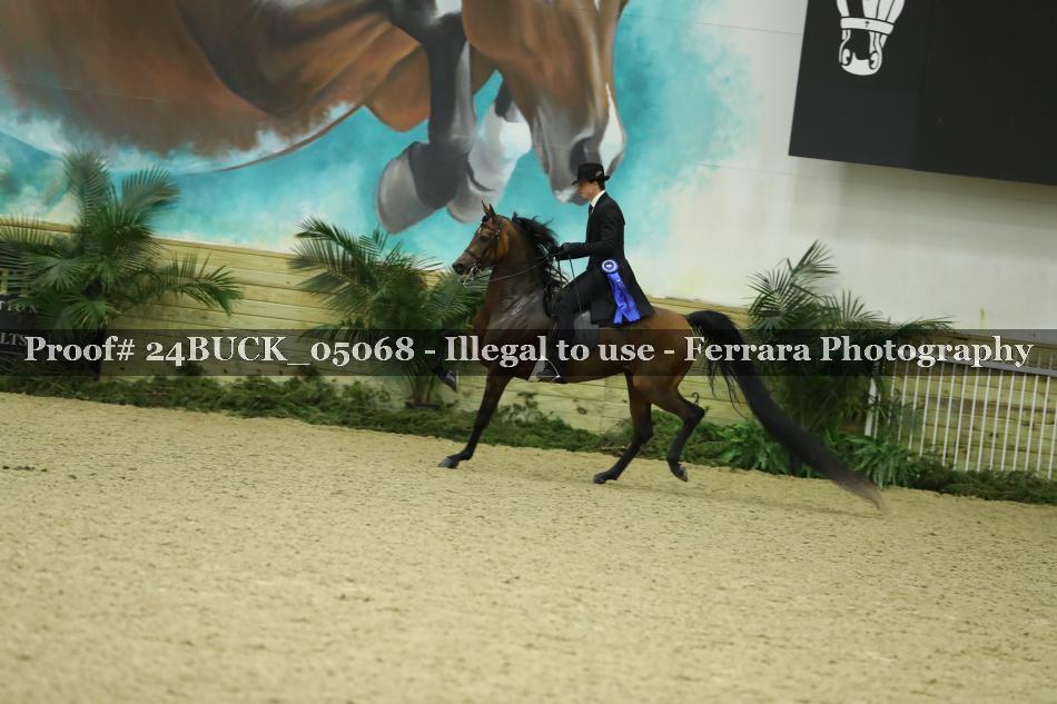 Proof Number 24BUCK_05068