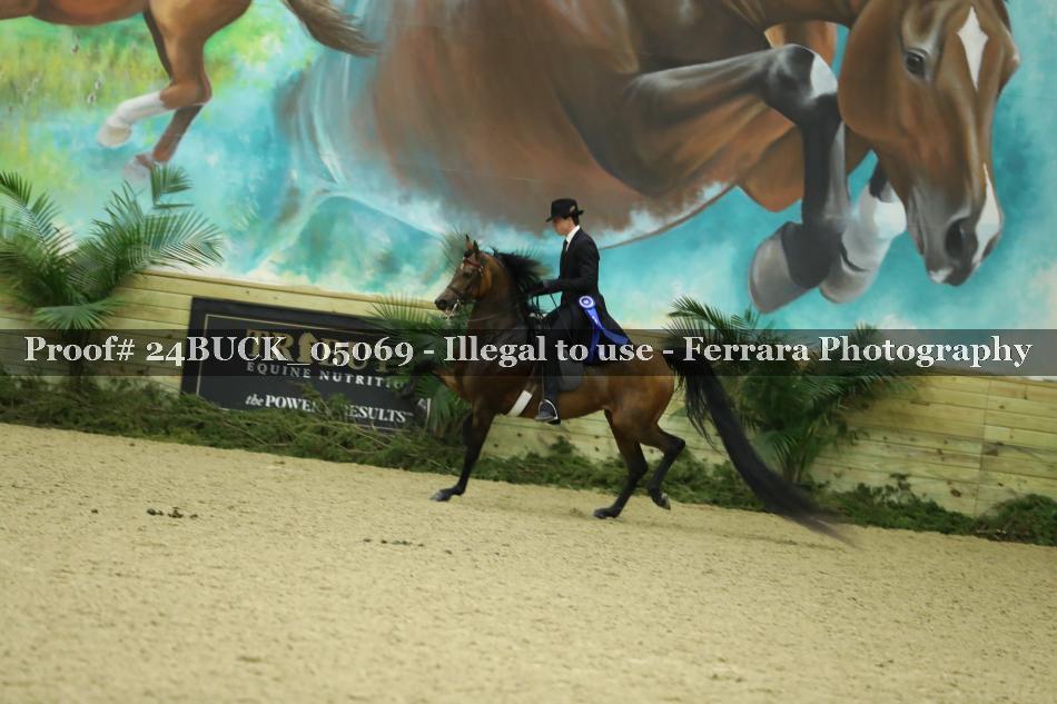 Proof Number 24BUCK_05069